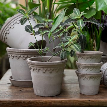 Copenhagen 植木鉢 Ø16 cm - Grey - Bergs Potter | バーグスポッター