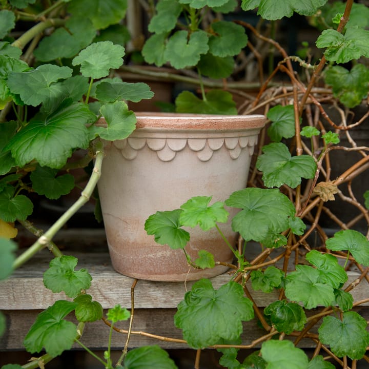 Copenhagen 植木鉢 Ø16 cm, Pink Bergs Potter | バーグスポッター