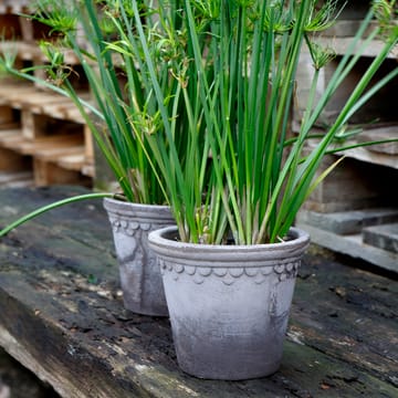 Copenhagen 植木鉢 Ø18 cm - Grey - Bergs Potter | バーグスポッター