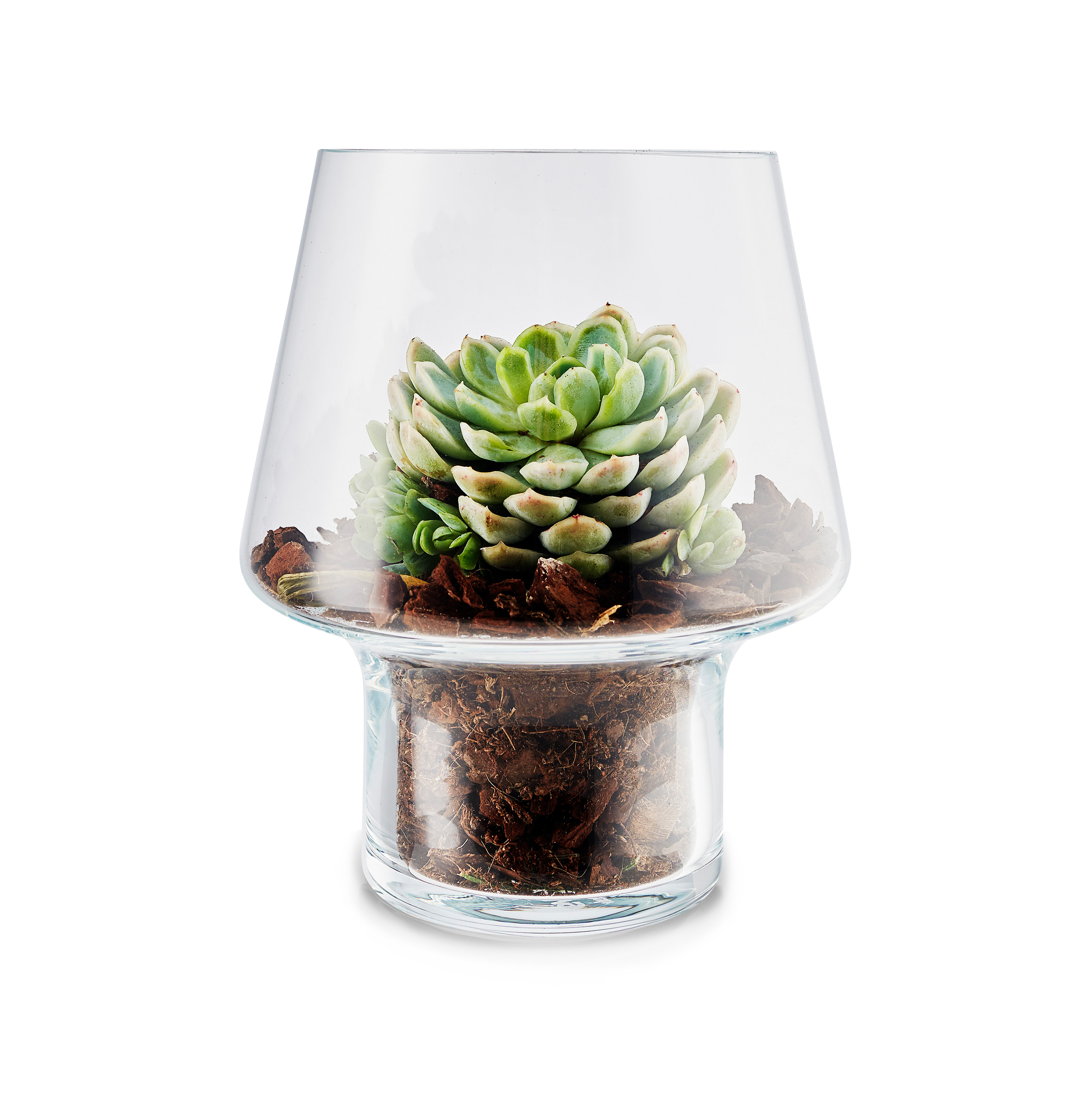 Eva Solo | エバソロ からのEva Solo グラス 花瓶 for succulents