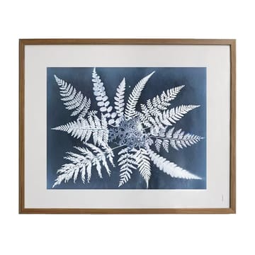 Fern star ポスター - 40x50 cm - Fine Little Day | ファインリトルデイ