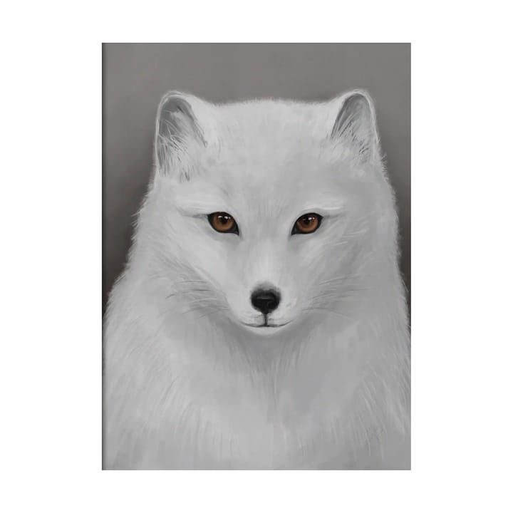 Arctic fox ポスター - 30x40 cm - Kunskapstavlan®