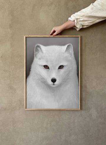 Arctic fox ポスター - 30x40 cm - Kunskapstavlan®