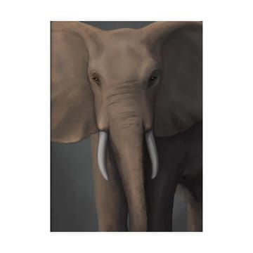 Forest elephant ポスター - 30x40 cm - Kunskapstavlan®