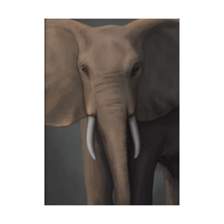 Forest elephant ポスター - 50x70 cm - Kunskapstavlan®