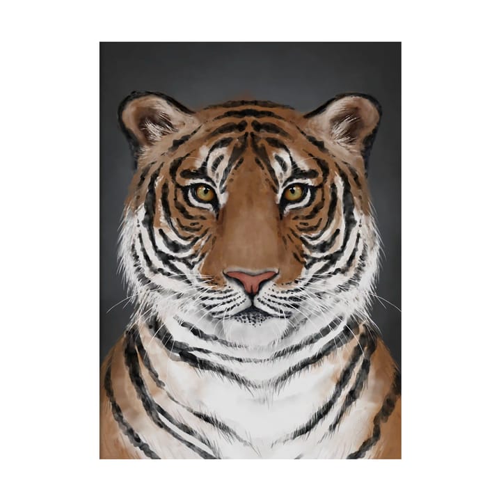 Tiger ポスター - 30x40 cm - Kunskapstavlan®