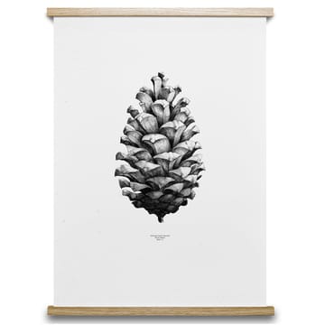 1:1 Pine cone ポスター - white, 50x70 cm - Paper Collective | ペーパーコレクティブ