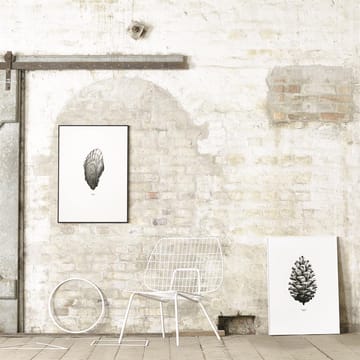 1:1 Pine cone ポスター - white, 50x70 cm - Paper Collective | ペーパーコレクティブ