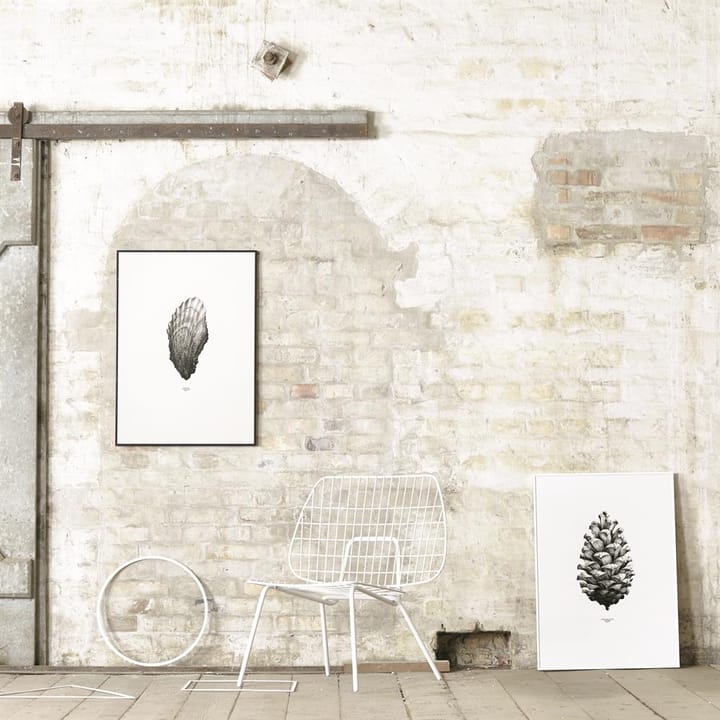 1:1 Pine cone ポスター, white, 50x70 cm Paper Collective | ペーパーコレクティブ