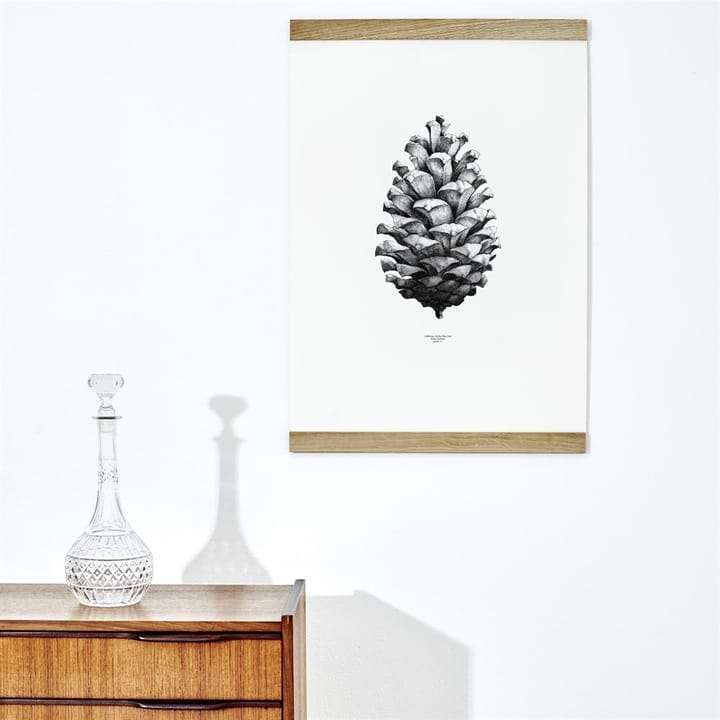 1:1 Pine cone ポスター, white, 50x70 cm Paper Collective | ペーパーコレクティブ