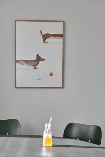 Doug the Dachshund ポスター - 50x70 cm - Paper Collective | ペーパーコレクティブ