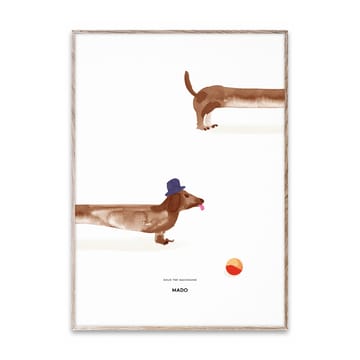 Doug the Dachshund ポスター - 50x70 cm - Paper Collective | ペーパーコレクティブ