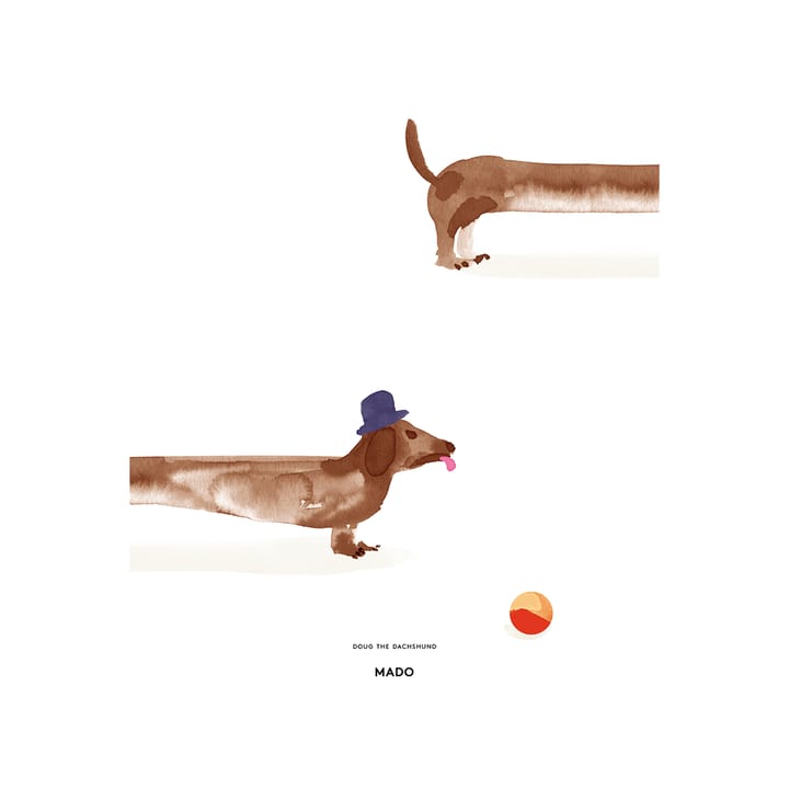 Doug the Dachshund ポスター - 50x70 cm - Paper Collective | ペーパーコレクティブ